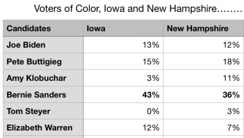 Voters of Color Iowa New Hampshire table